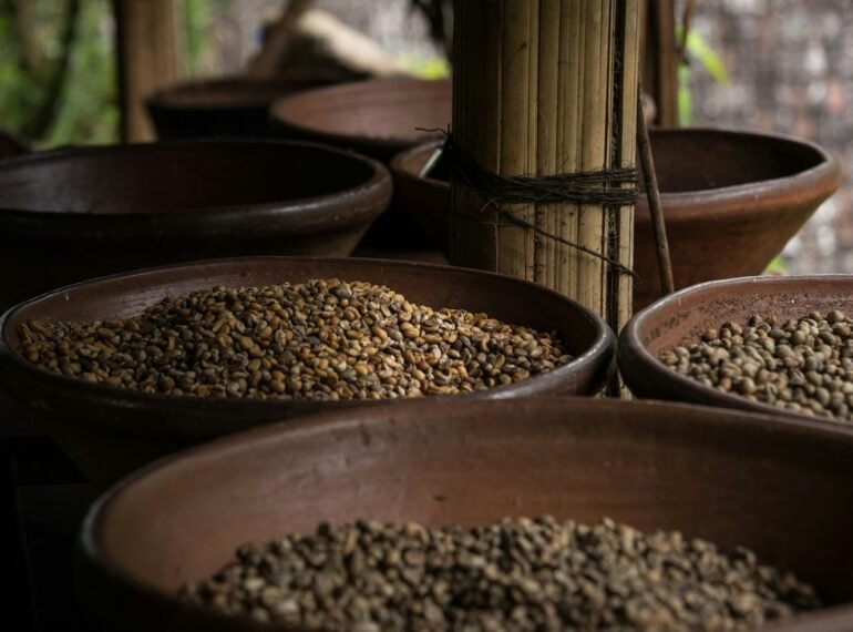 Coffee History
